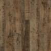 Duxbury Oak
VV017-01012
